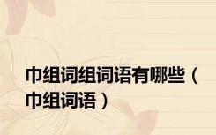 巾组词组词语有哪些（巾组词语）