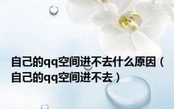 自己的qq空间进不去什么原因（自己的qq空间进不去）