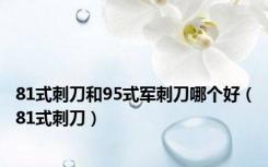 81式刺刀和95式军刺刀哪个好（81式刺刀）