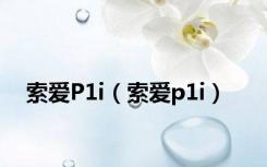 索爱P1i（索爱p1i）