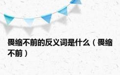 畏缩不前的反义词是什么（畏缩不前）