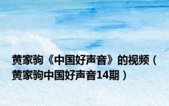黄家驹《中国好声音》的视频（黄家驹中国好声音14期）