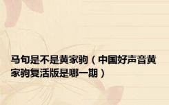 马句是不是黄家驹（中国好声音黄家驹复活版是哪一期）