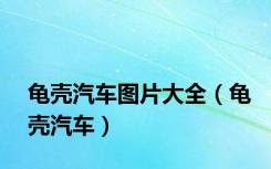 龟壳汽车图片大全（龟壳汽车）