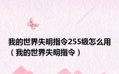 我的世界失明指令255级怎么用（我的世界失明指令）