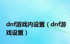 dnf游戏内设置（dnf游戏设置）