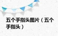 五个手指头图片（五个手指头）