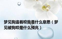 梦见狗追着咬我是什么意思（梦见被狗咬是什么预兆）