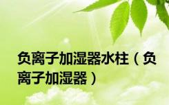 负离子加湿器水柱（负离子加湿器）