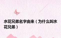 水花兄弟名字由来（为什么叫水花兄弟）