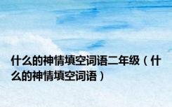什么的神情填空词语二年级（什么的神情填空词语）