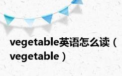 vegetable英语怎么读（vegetable）