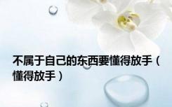 不属于自己的东西要懂得放手（懂得放手）