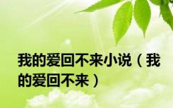 我的爱回不来小说（我的爱回不来）