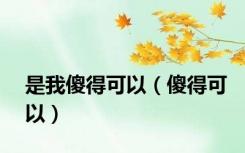 是我傻得可以（傻得可以）