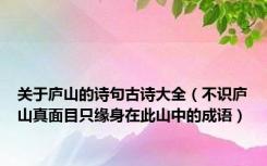 关于庐山的诗句古诗大全（不识庐山真面目只缘身在此山中的成语）