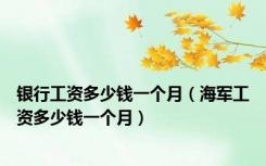 银行工资多少钱一个月（海军工资多少钱一个月）