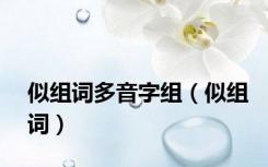 似组词多音字组（似组词）