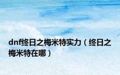 dnf终日之梅米特实力（终日之梅米特在哪）
