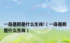 一身是胆是什么生肖!（一身是胆是什么生肖）