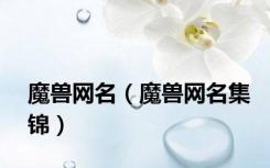 魔兽网名（魔兽网名集锦）