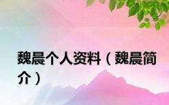 魏晨个人资料（魏晨简介）