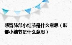 感冒肺部小结节是什么意思（肺部小结节是什么意思）