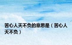 苦心人天不负的意思是（苦心人天不负）