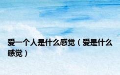 爱一个人是什么感觉（爱是什么感觉）