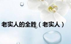 老实人的全胜（老实人）