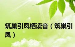 筑巢引凤栖读音（筑巢引凤）
