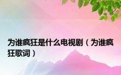 为谁疯狂是什么电视剧（为谁疯狂歌词）