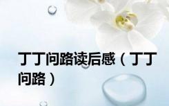 丁丁问路读后感（丁丁问路）