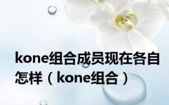 kone组合成员现在各自怎样（kone组合）