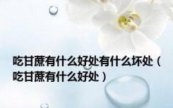 吃甘蔗有什么好处有什么坏处（吃甘蔗有什么好处）