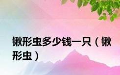 锹形虫多少钱一只（锹形虫）