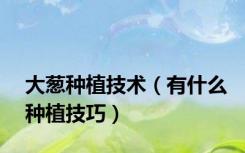 大葱种植技术（有什么种植技巧）