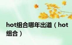 hot组合哪年出道（hot组合）