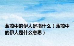 蒹葭中的伊人是指什么（蒹葭中的伊人是什么意思）
