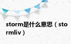 storm是什么意思（stormliv）