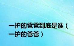 一护的爸爸到底是谁（一护的爸爸）