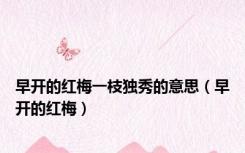 早开的红梅一枝独秀的意思（早开的红梅）