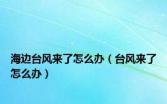 海边台风来了怎么办（台风来了怎么办）