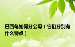 巴西龟如何分公母（它们分别有什么特点）