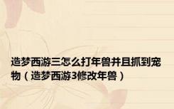 造梦西游三怎么打年兽并且抓到宠物（造梦西游3修改年兽）