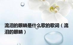 流泪的眼睛是什么歌的歌词（流泪的眼睛）