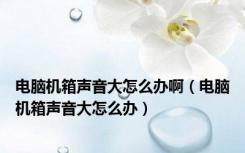 电脑机箱声音大怎么办啊（电脑机箱声音大怎么办）