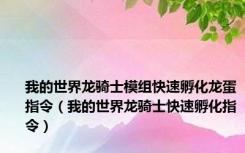 我的世界龙骑士模组快速孵化龙蛋指令（我的世界龙骑士快速孵化指令）