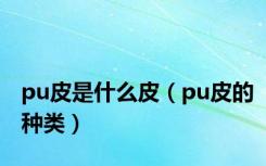 pu皮是什么皮（pu皮的种类）
