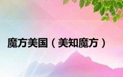 魔方美国（美知魔方）